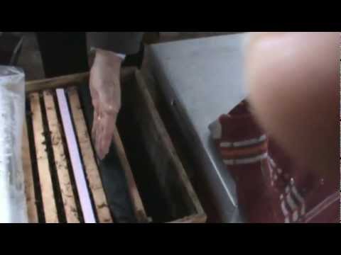 The frame from the edge of the nest passed into the antechamber to be used for feeding - beekeeping