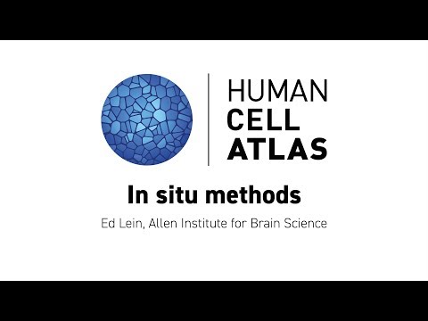 Hinxton 2018 - In situ methods