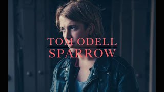 Tom Odell - Sparrow (lyrics)