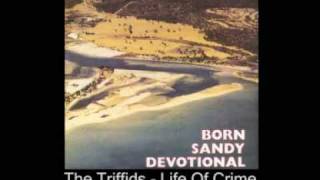 The Triffids - Life Of Crime (1986)