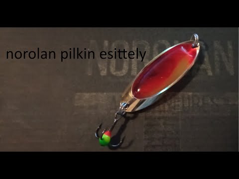 esittelen norolanin pystypilkin