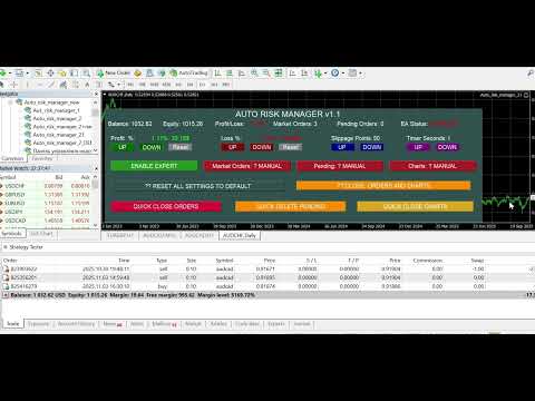 Video Auto risk manager PRO MT5