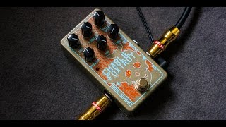 Video thumbnail for Malekko - Charlie Foxtrot by Dennis Kayzer