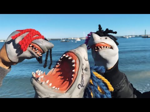 Shark Puppet - Buckets ft. Suigeneris & DC The Don (Official Music Video)