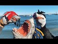 Shark Puppet Buckets Ft Suigeneris DC The Don Official Music Video
