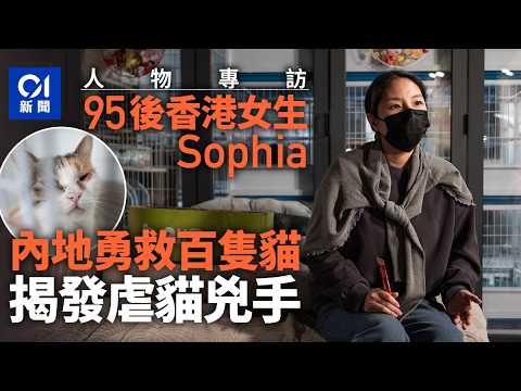 【人物專訪】95後香港女生救百隻貓、建立深圳首個友愛小動物社區：內地無《動保法》，做動物救援如走入地獄｜01中國｜虐貓｜流浪貓｜毒貓｜毒狗｜動物福利法｜防止殘酷對待動物條例｜貓義工｜深圳警察｜動物保護