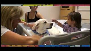 Animal Assisted Therapy at Phoenix Children's Hospital