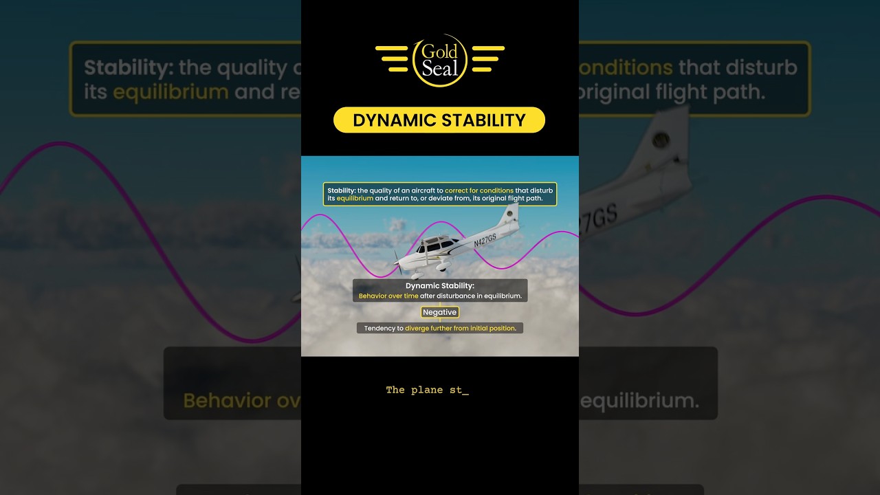 Dynamic Stability 🛩️
