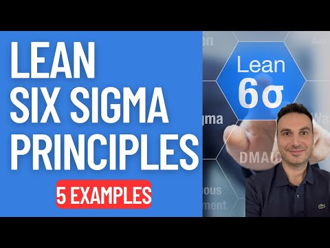 Lean Six Sigma Principles (5 Practical Examples To Improve Business Processes)