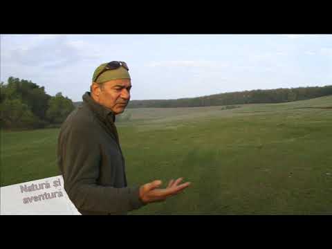 Natura si aventura: Chinteni, jud. Cluj