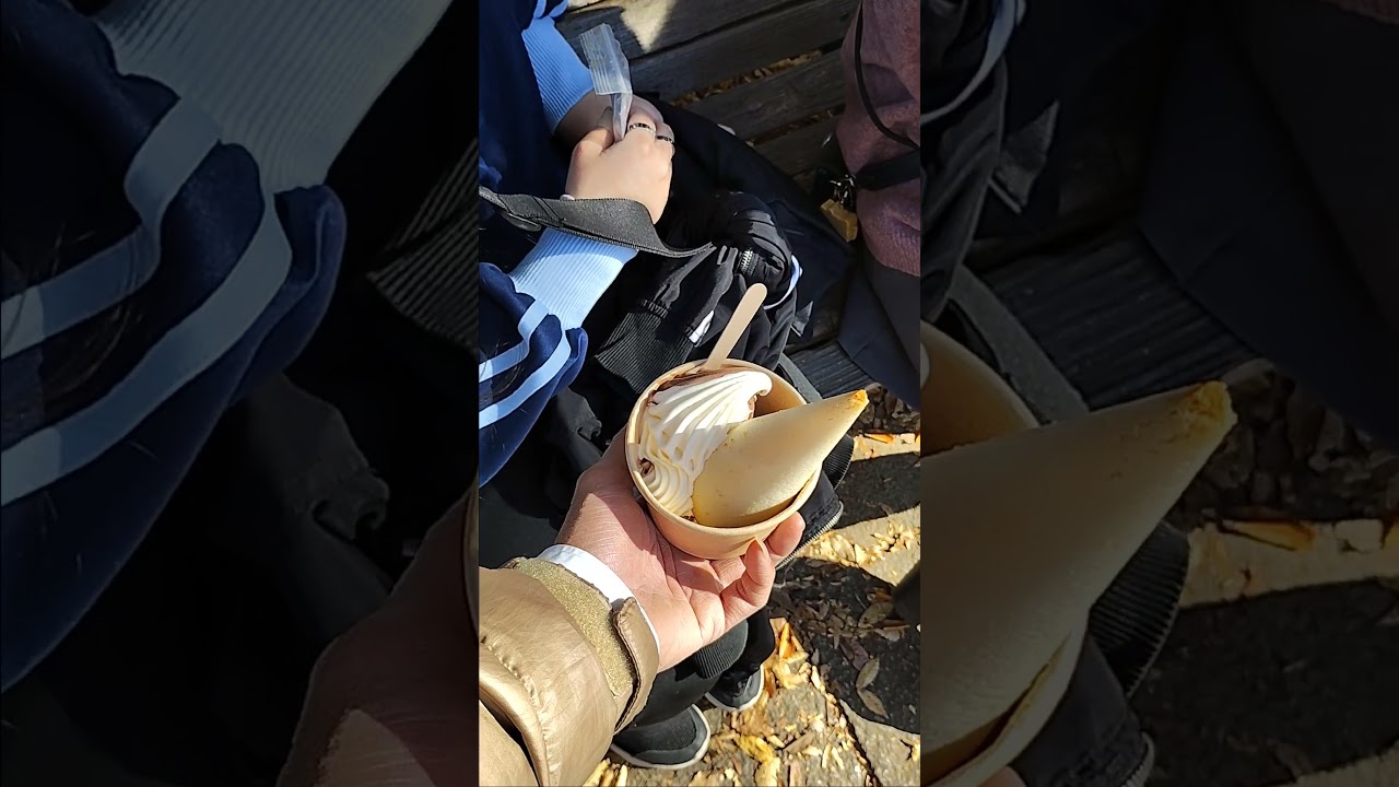 見かけると買わされる