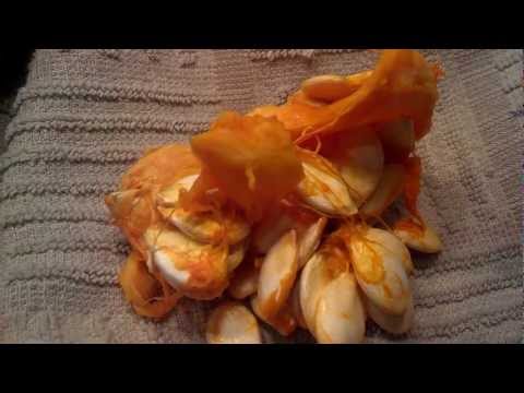 download lagu mp3 mp4 Squash Green Inside, download lagu Squash Green Inside gratis, unduh video klip Squash Green Inside