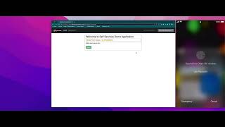 MySecurityServices  ZFP Using APIs