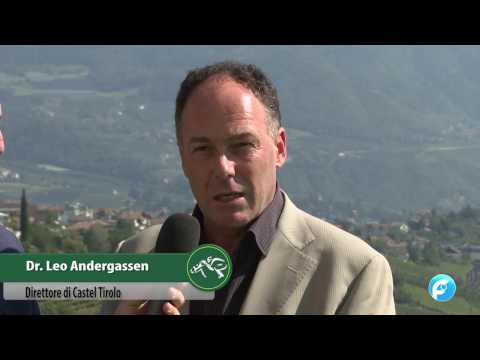 Speciale Gran Premio Merano 2016