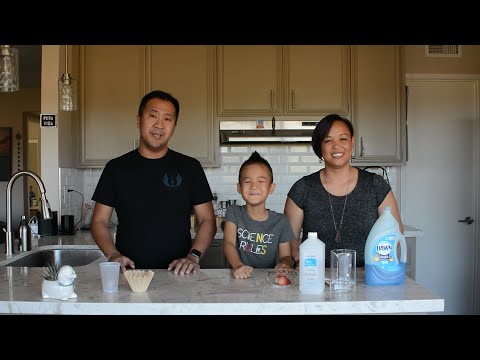 Genomics 101 At Home: Extracting DNA from a Strawberry