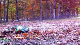 Gravel Run - Electric RC Truck - Fall Leaves and Power Slides
