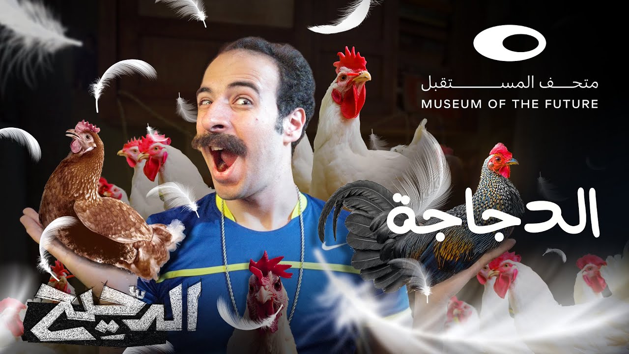 الدحيح | الدجاجة