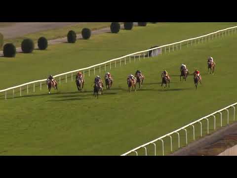 Sherlog 98. Cena prezidenta republiky ŽIVĚ na EquiTV.cz