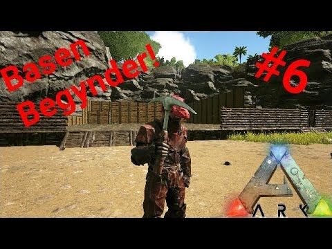 #6 Basen Begynder! Plus Tame!