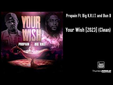 Propain Ft. Big K.R.I.T. and Bun B - Your Wish [2023] (Clean)