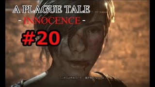 【ネズミゲー】#20 A Plague Tale  Innocence【女性実況】闘え、弟の為に。【ステルスアクションゲーム】