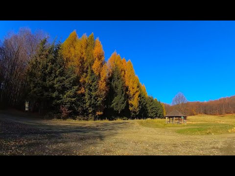 Timelapse | REMETI 13 Noiembrie 2022  ( YI 4k Action Cam, No edit)