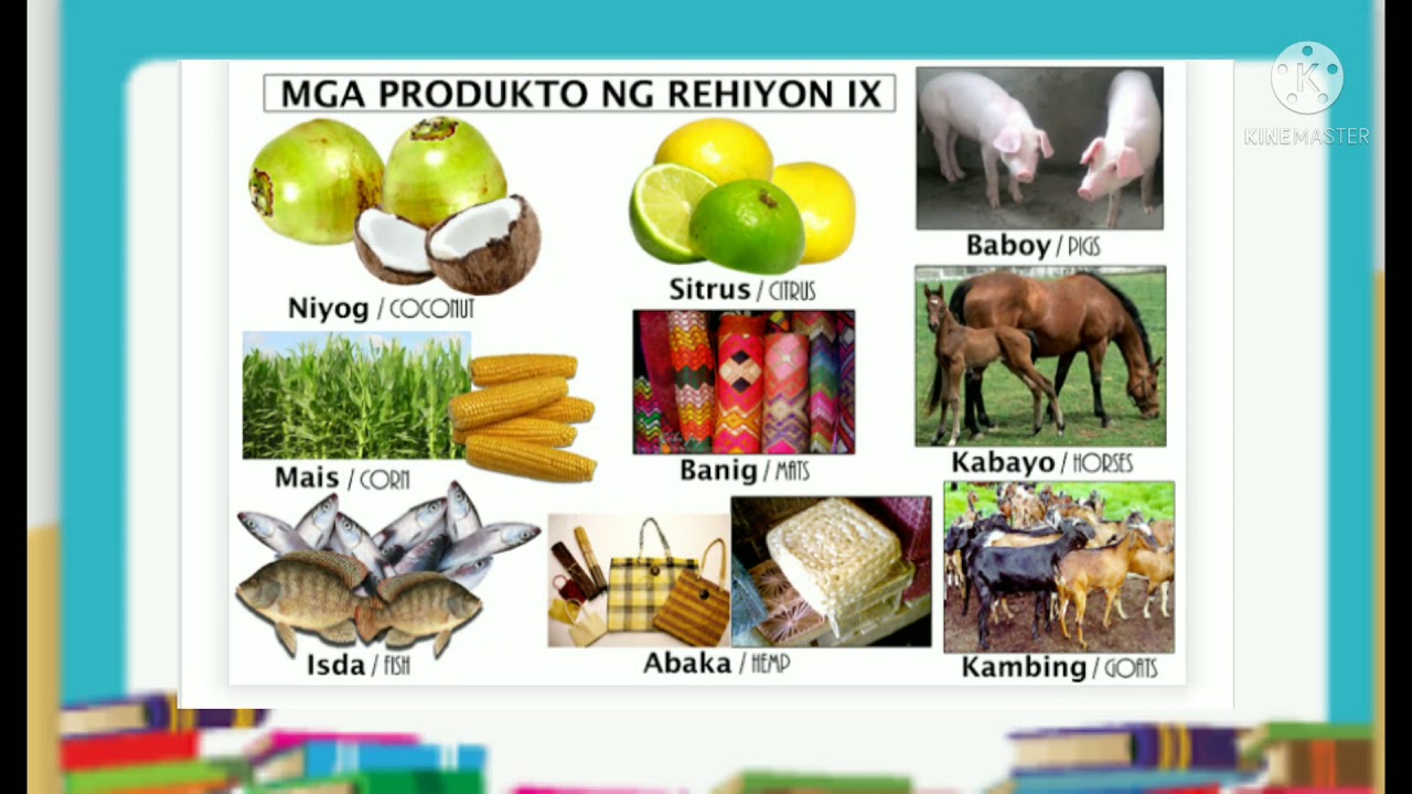 APMga Produkto ng ibat ibang Rehiyon
