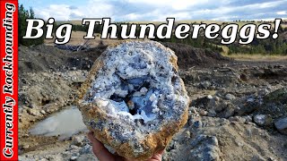 Digging for Canyon Rim Thundereggs in Central Oregon