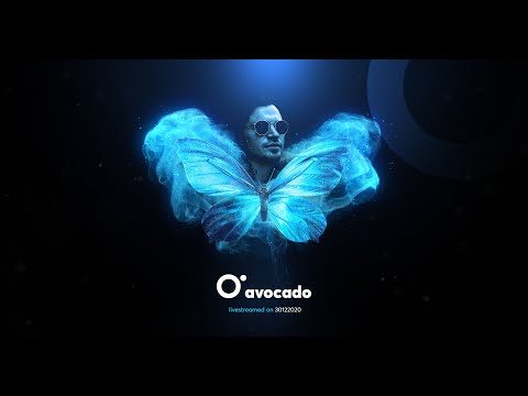 Cadenza Nights 🦋 v.020 - Avocado