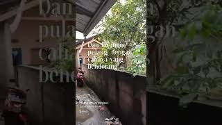 Download lagu Pulang Superman is dead Story WA mp3