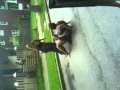 Two Fat Bitches Get Naked To Fight In Detroit