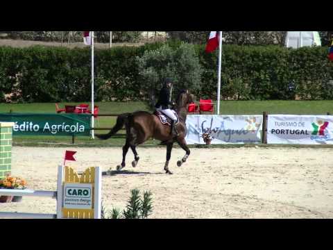 Stall DS | Vilamoura-Portugal CSI*** 2014, 7 yo. Chacgrano with Linn Widmark