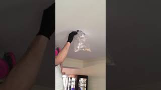 Ceiling mouse