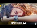 Daydreamer Full Episode 47 (English Subtitles)