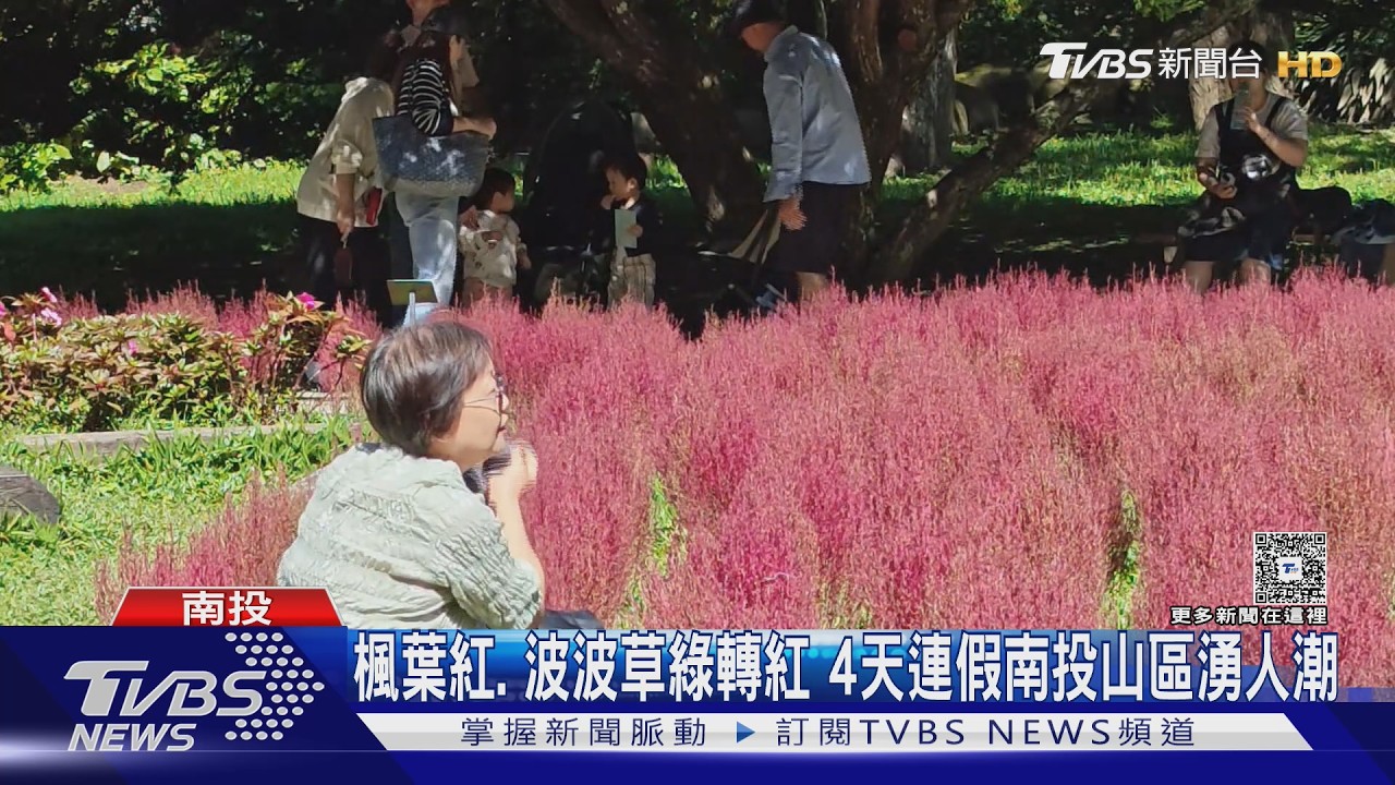 杉林溪波波草轉紅了!連假湧入7千人 合歡山塞車「綿延10公里」