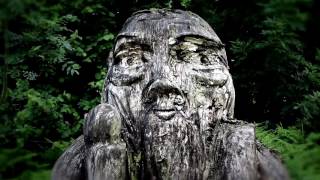 Penda's Fen - Looking Around