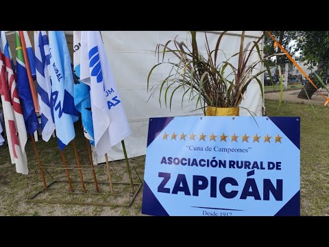 Marcación del Raid Federado Patria Libre 🏇🏁Zapican 🏁🏆