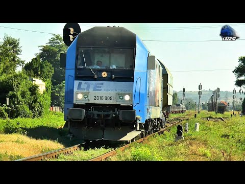 Jimmy Tricolor 64-0920-0 & Siemens Hercules 2016 909-1 in Gara Oradea Vest Station - 13 August 2020