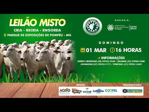 LEILÃO MISTO - ESTÂNCIA MINEIRA LEILÕES E SINDICATO DE POMPÉU/MG - 01/03/2026
