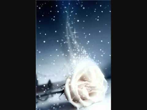 Mentor hajrizi -era saher fryn