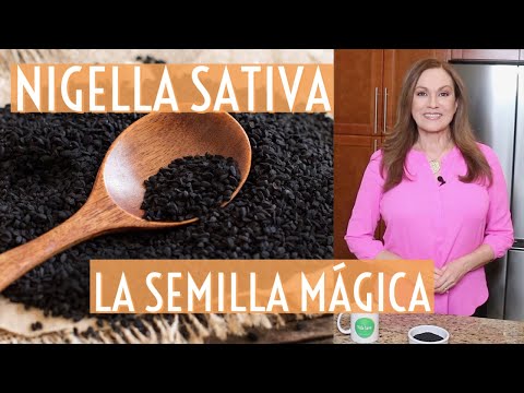 "La semilla que cura todo excepto la muerte": Nigella Sativa