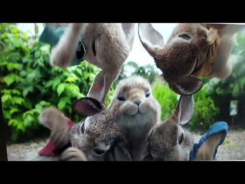 "Beauty and the Snow Wolf" Part 14 - 🎶 Be Our Guest 🎶