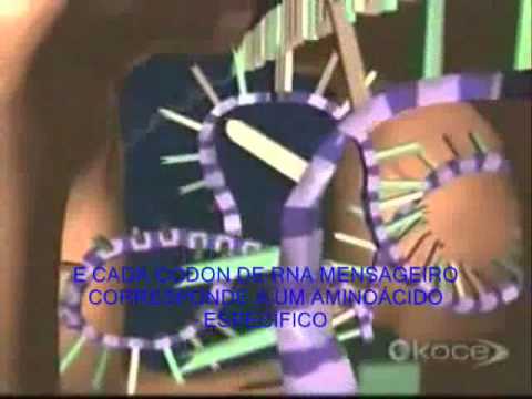 DO DNA A SINTESE DE PROTEÍNAS