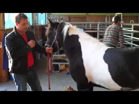 FIZO Breidenbach - Messen 6.9. - www.isibless.de