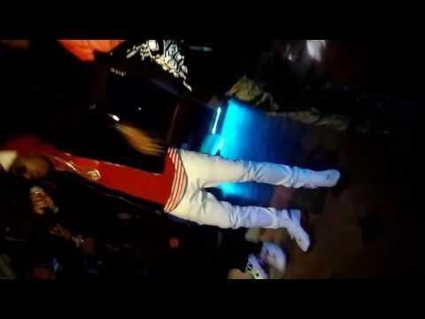 Tiger Montana Fresno