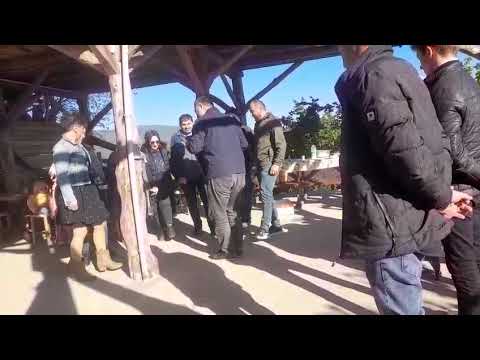 YUNUSBABA'nın ÇİFTLİĞİ