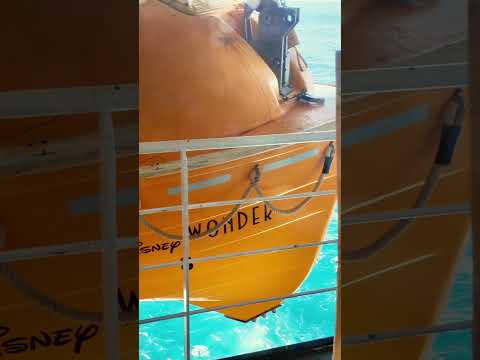 Thumbnail for Wonder Hides in the Quiet Corners | A Hidden View Aboard the Disney Wonder #shorts #disneycruise
