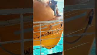 Wonder Hides in the Quiet Corners | A Hidden View Aboard the Disney Wonder #shorts #disneycruise