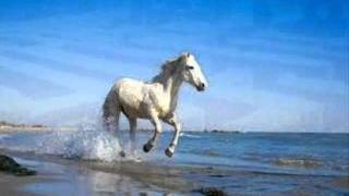 LUIS EDUARDO AUTE  - FLOR DE UN DIA - LUIS EDUARDO AUTE