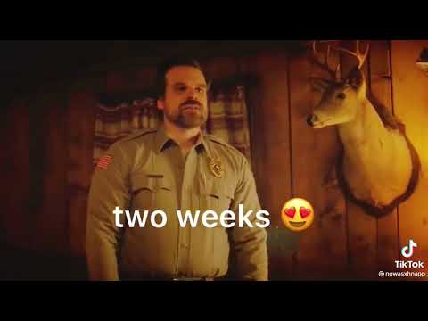 you are like papa 👹